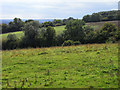 Farmland, Shalden