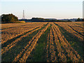 TL1128 : Farmland, Lilley by Andrew Smith