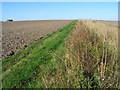 Farmland, Pirton