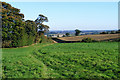 Farmland, Offley