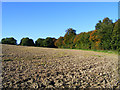 Farmland, Offley