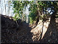 Bridleway near Deancorner