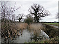 Ancient moat at Lymball