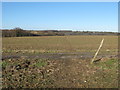 Footpath crosses access lane to Lonebarn Farm