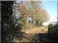 Footpath and byway junction near Meggett Cottage