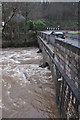 Black Cat : River Exe & B3227 Bridge