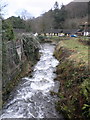 Stream in full flood, Hawkcombe