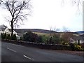 View from Well Road towards Moffat Hills