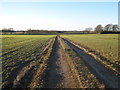 Farm track from Pound Farm