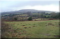 The view from Cotswold Way, Risca towards Twmbarlwm