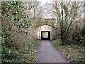 NZ1164 : Hadrian's Cycleway at Wylam by Oliver Dixon
