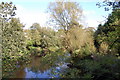 Bredbury and Romiley : River Goyt