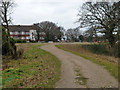 Track, Epping Forest