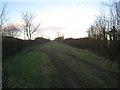 Footpath to Ossington