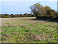 Farmland, Chinnor