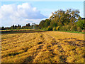 Farmland, Bledlow