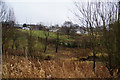 Smallholdings backing onto Haslingden Road