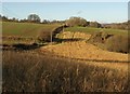 Field north of Tisbury