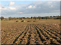 TG3805 : Heaps of fertiliser in field by Manor Farm, Cantley by Evelyn Simak