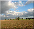 TG3805 : Cultivated fields under a picturesque sky south of Beighton by Evelyn Simak