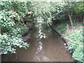 The River Ravensbourne at the southern end of Ladywell Fields