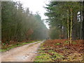 Footpath and Cycle Route