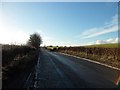 Cairnmuir Road