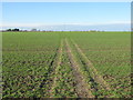 Stour Valley Walk to a lane to Standhill Farm