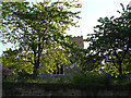 Steeple Bumpstead St Mary