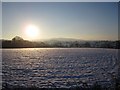 Totnell Corner, Xmas Day 2010: farmland under snow (looking towards Melbury Bubb)