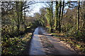 A bridge on Rookbear Lane