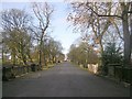 Peel Park - from Harrogate Street