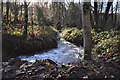 A stream by Rookbear Lane which might be Bradiford Water