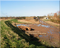 TG4710 : Muddy track by Marsh Farm, Runham by Evelyn Simak