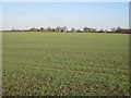 View towards Langford Moor Farm