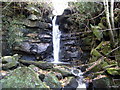 Deep Gill Force