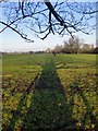 Low sun, long shadows: Osterley in January