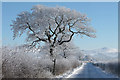 Winter near Hulme End