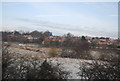 Scrubland by the River Nene near Northampton