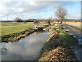 Bridge across Greenlane Reen, Wentlooge Level