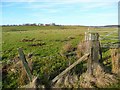 Looking over rough grazing to Knowhead Farm