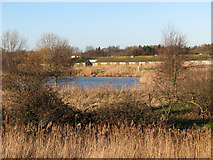 TG4710 : Pond by Marsh Farm, Runham by Evelyn Simak