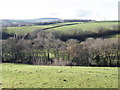 View towards Rodhuish Common