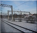 Lines off to the railway shed, Northampton