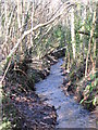 The River Ravensbourne in the north of Padmall Wood