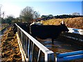 Barquhill Farm