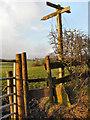 Stile and Signpost