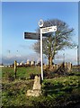 Base of a Cross, Coscote