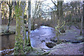 Afon Efyrnwy just downstream of weir