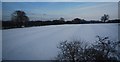 Snowy landscape south of Northampton